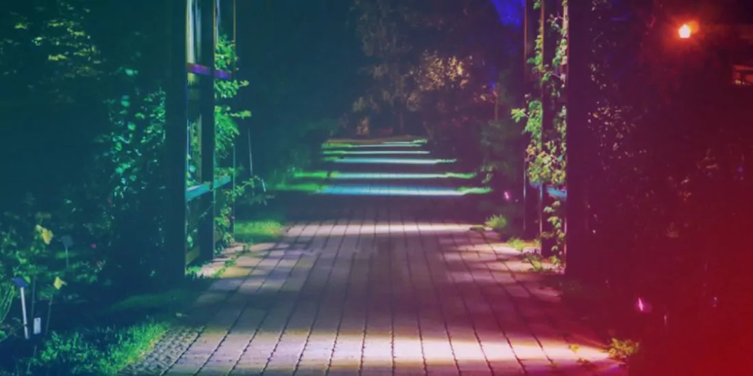 Las estrellas a tus pies