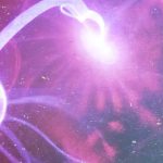 Hallazgos de Luz - Exposición Fotográfica